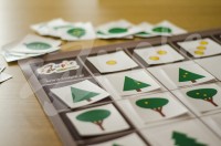 Drzewka_Domino (3).jpg