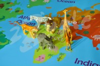 World_map (1).JPG