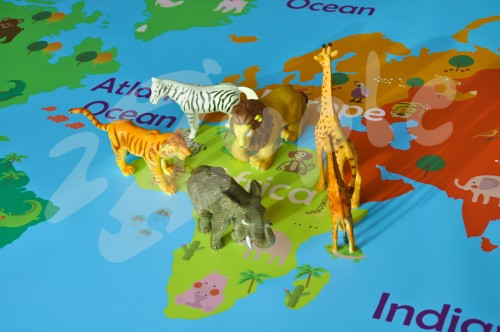 World Map. Duża